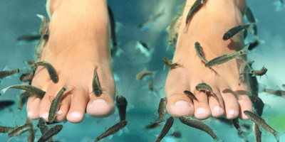 Fish pedicure: cos'è e quali sono i benefici